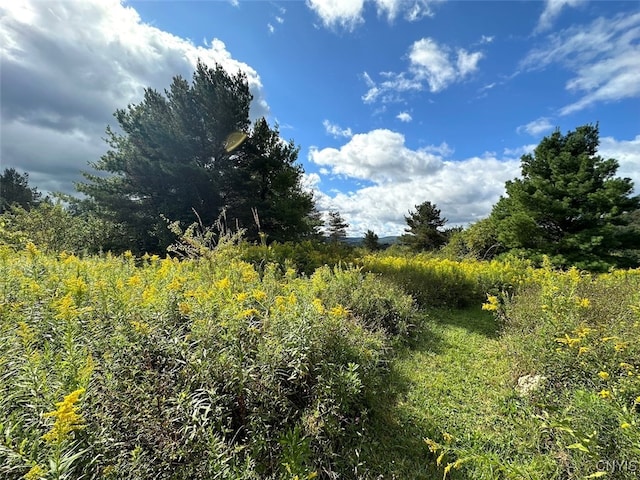 view of landscape