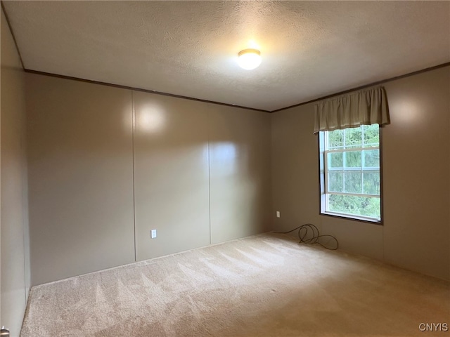 carpeted spare room featuring a textured ceiling