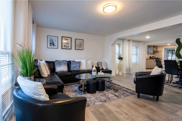 living room featuring light wood-type flooring and a healthy amount of sunlight