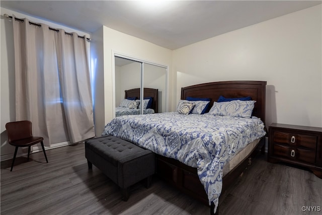 bedroom featuring dark wood-type flooring and a closet