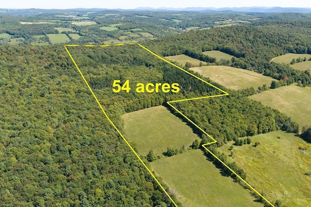 LOT4 Warren Rd, Meredith, NY 13753