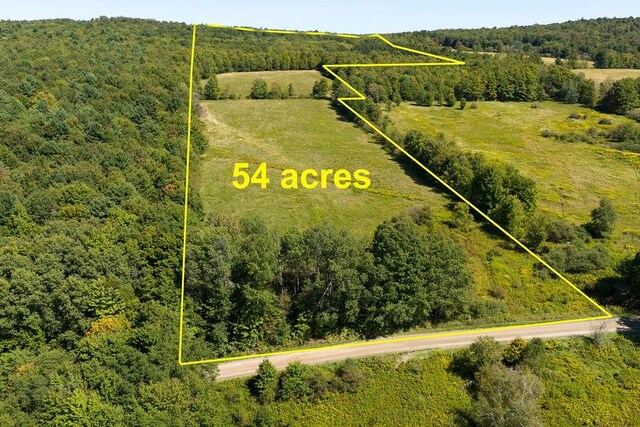 LOT4 Warren Rd, Meredith, NY 13753