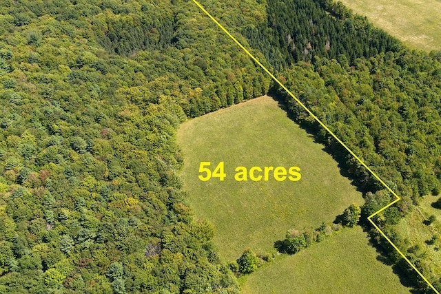 LOT4 Warren Rd, Meredith, NY 13753
