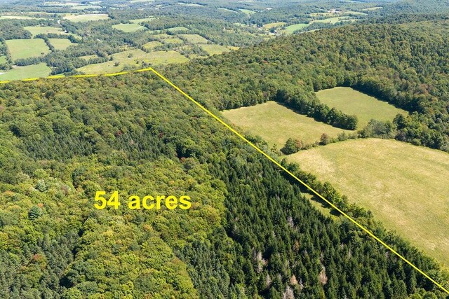 LOT4 Warren Rd, Meredith, NY 13753