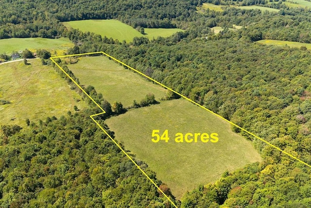 LOT4 Warren Rd, Meredith, NY 13753