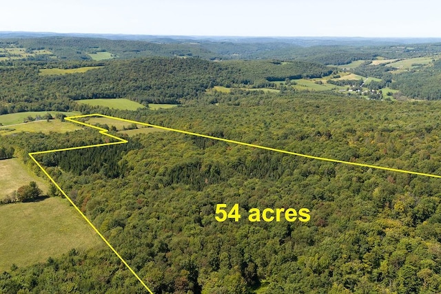 LOT4 Warren Rd, Meredith, NY 13753