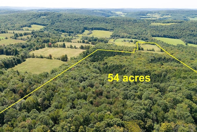 LOT4 Warren Rd, Meredith, NY 13753