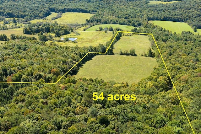 LOT4 Warren Rd, Meredith, NY 13753