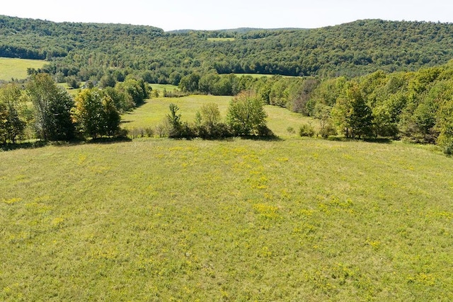 LOT4 Warren Rd, Meredith, NY 13753