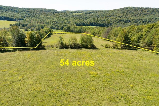 LOT4 Warren Rd, Meredith, NY 13753