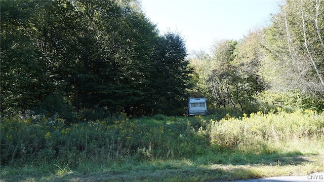 0 Mc Caw Rd, Redfield NY, 13493 land for sale