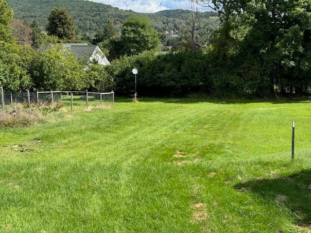 view of yard featuring a mountain view and a rural view