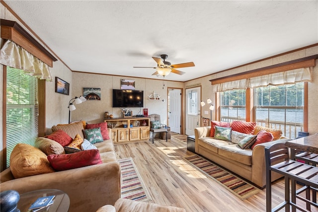 living room featuring ceiling fan, a textured ceiling, crown molding, and light hardwood / wood-style flooring