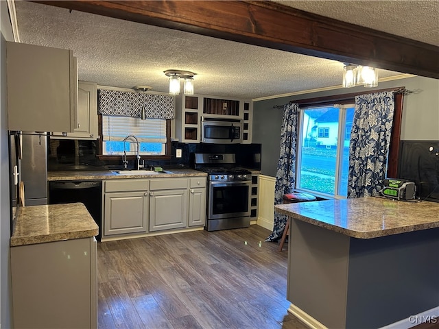 kitchen featuring kitchen peninsula, stainless steel appliances, plenty of natural light, and dark hardwood / wood-style flooring