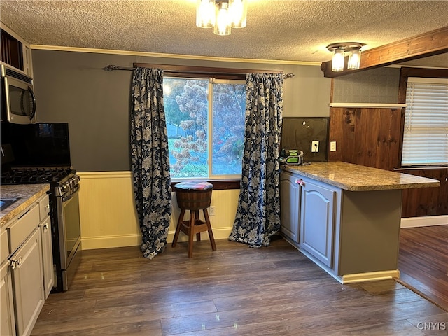 kitchen with appliances with stainless steel finishes, a textured ceiling, and dark hardwood / wood-style flooring