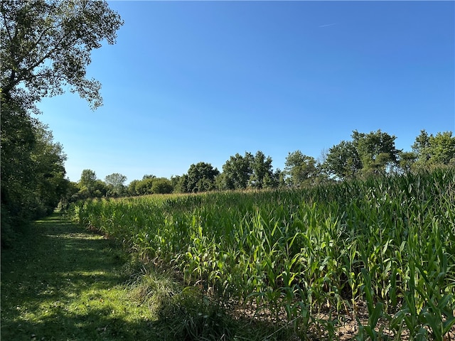 view of nature with a rural view