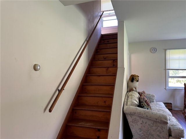 stairway with a healthy amount of sunlight and hardwood / wood-style flooring