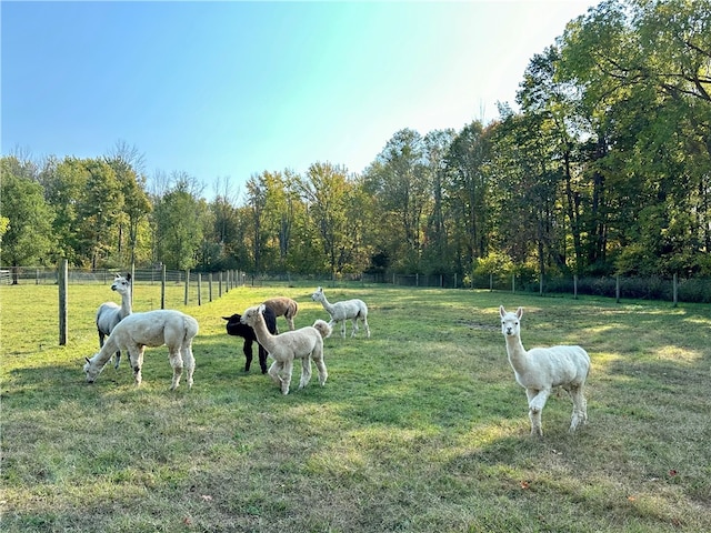 view of yard with a rural view