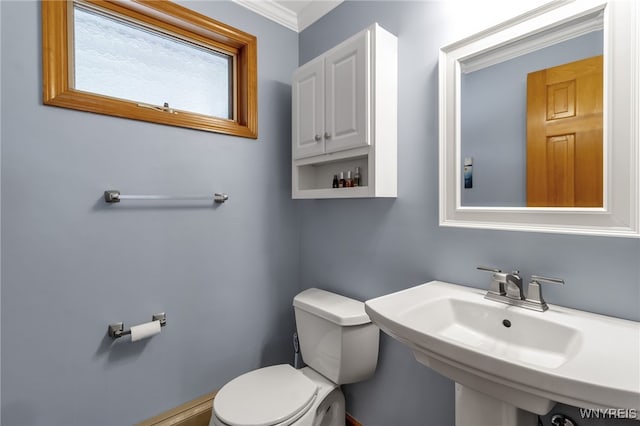 bathroom with toilet, sink, and ornamental molding