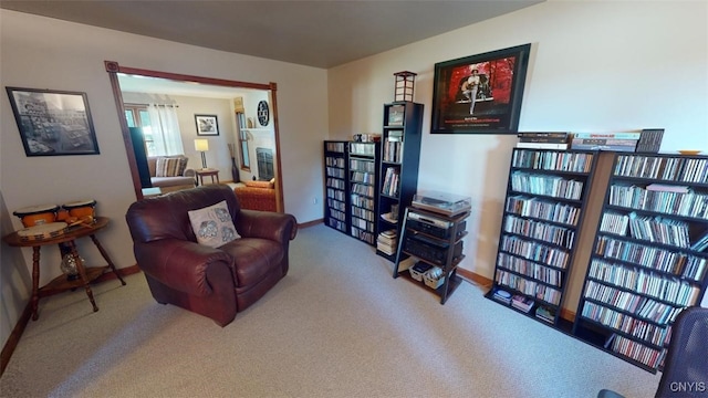 sitting room featuring carpet flooring