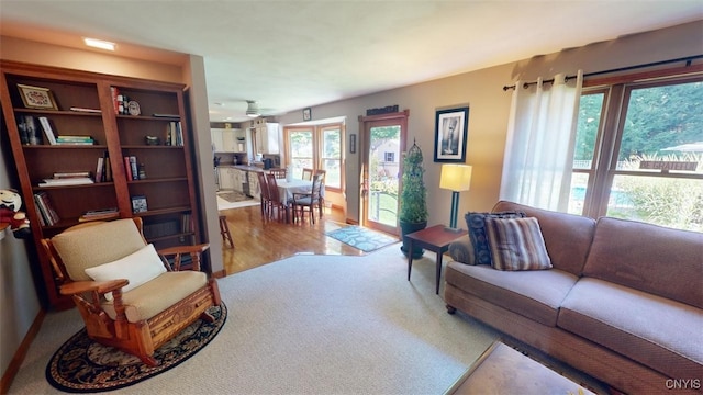 living room with light wood-type flooring