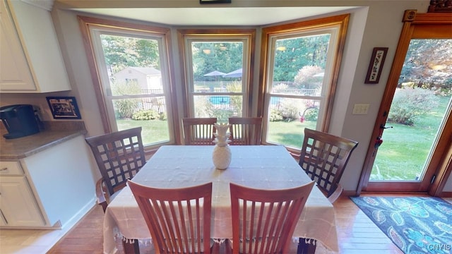 dining room with light hardwood / wood-style flooring and a wealth of natural light