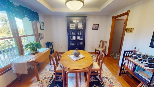 dining area featuring hardwood / wood-style floors and a tray ceiling