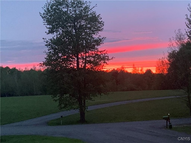 view of yard at dusk