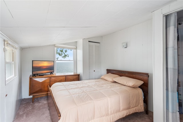 bedroom with lofted ceiling and dark carpet