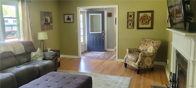 living room with light hardwood / wood-style floors