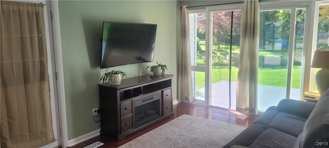 living room featuring dark hardwood / wood-style floors