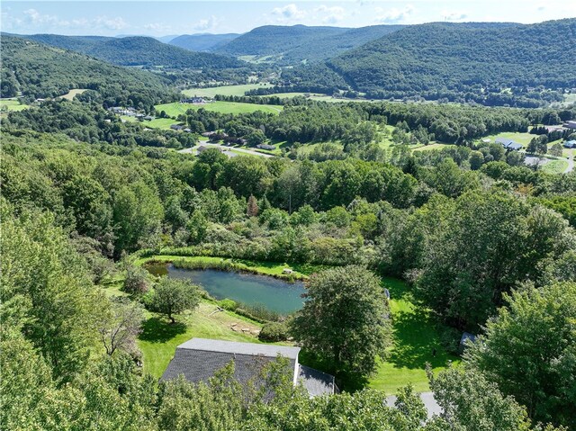 aerial view with a water and mountain view