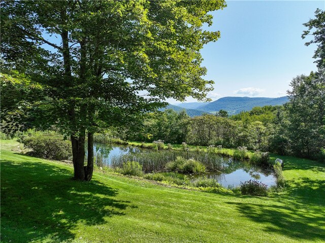 view of water feature featuring a mountain view