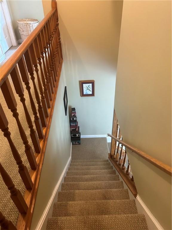 stairway with carpet floors