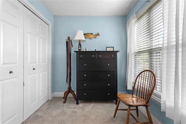 sitting room with light colored carpet