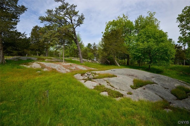 14492 Grossman Pt, Clayton, NY 13624 - photo 7