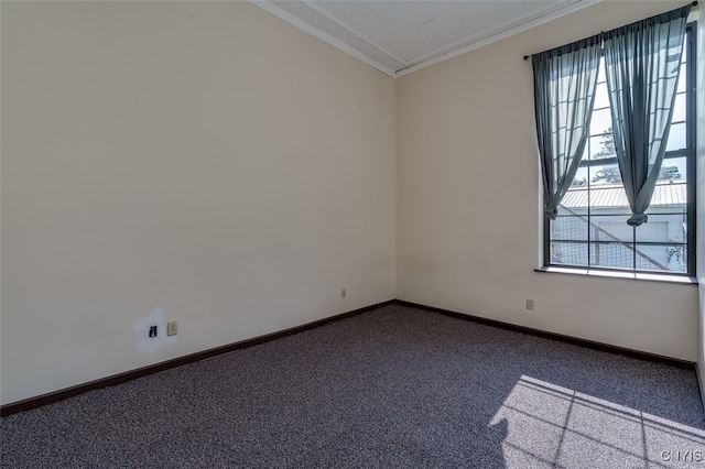 empty room with ornamental molding and carpet