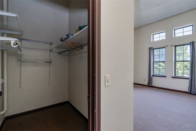 walk in closet featuring carpet flooring