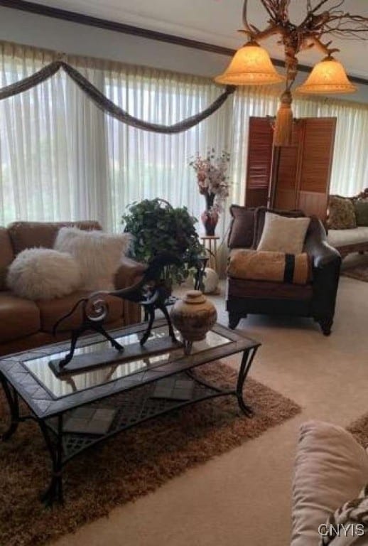 living room with crown molding, plenty of natural light, and carpet