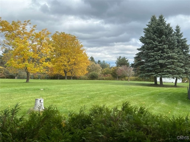 exterior space featuring a lawn