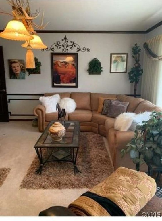 carpeted living room featuring ornamental molding