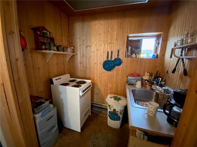 washroom with wood walls and a sink