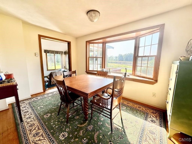 dining area with wood-type flooring