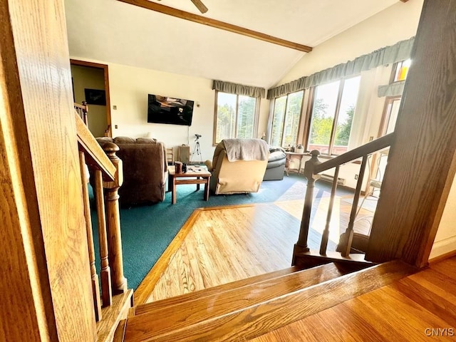 stairs with lofted ceiling and hardwood / wood-style flooring