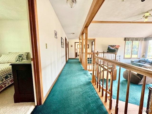 hall with carpet floors