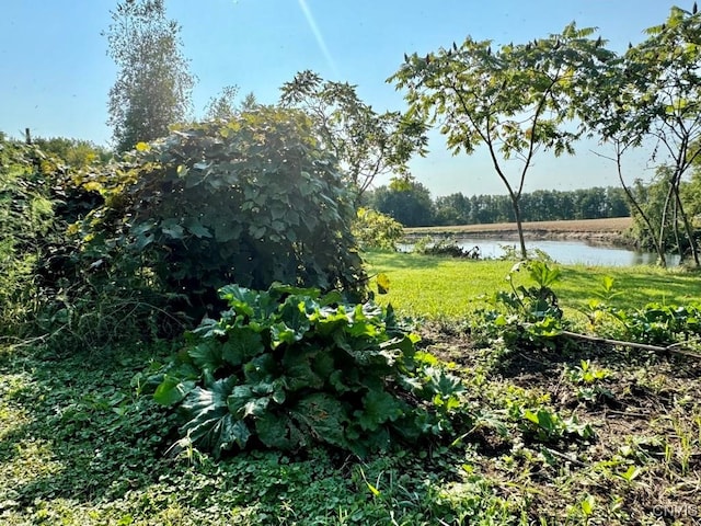 view of landscape featuring a water view