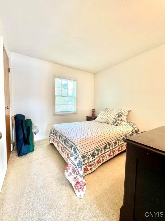 bedroom with carpet