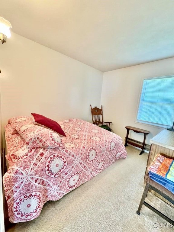 bedroom featuring carpet