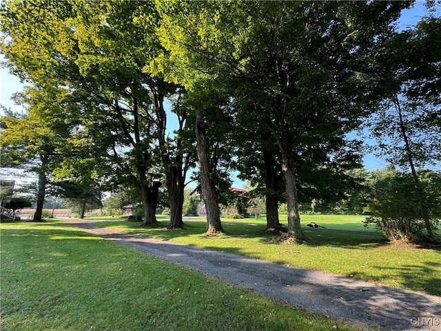 view of property's community with a yard