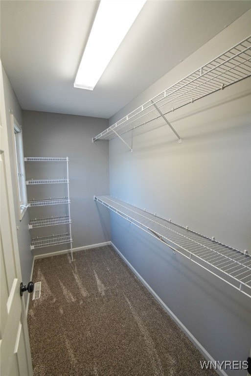 walk in closet with dark carpet